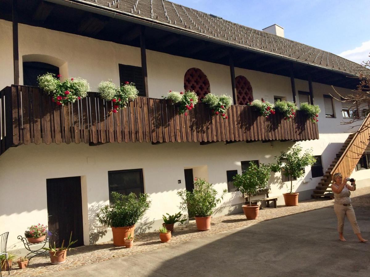 Viii Panorama-ferienwohnung Petzenblick * Smihel nad Pliberkom